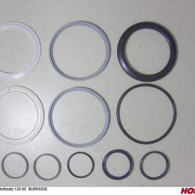 Dichtsatz 120-50 Burnside Horsch 00130416