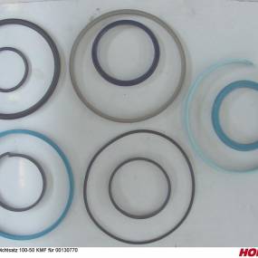 Dichtsatz 100-50 Kmf für 00130770 Horsch 00130774
