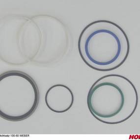 Dichtsatz 100-60 Weber Horsch 00131053