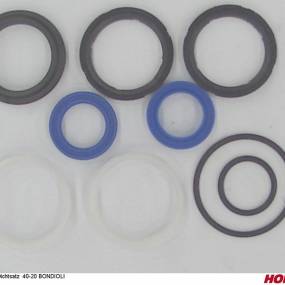 +Dichtsatz  40-20 Bondioli Horsch 00131070