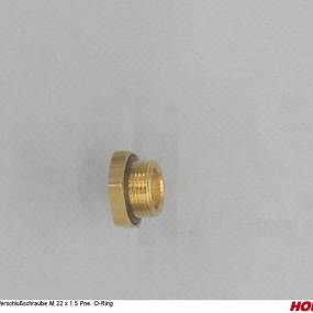 Verschlußschraube M 22 X 1.5 Pne. O-Ring Horsch 00190301