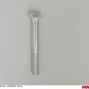 Sks 24 X 170 Din 931 8.8 Vz. Horsch 00360091