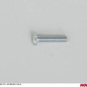 Sks 10 X 45 Din 933 8.8 Vz. Horsch 00360123