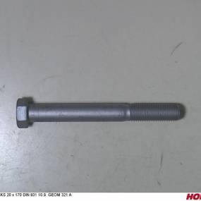 Sks 20 X 170 Din 931 10.9 Geom321A Horsch
