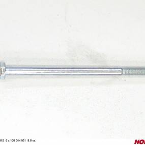 Sks 6 X 100 Din 931 8.8 Vz. Horsch 00360221