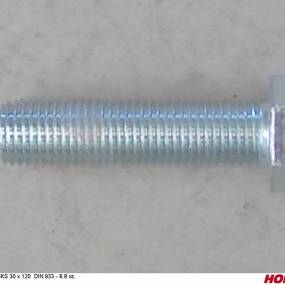 Sks 30 X 120 Din 933 8.8 Vz. Horsch 00360466