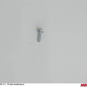 Sks 6 X 20 Sperrverzahnung Vz. Horsch 00360859