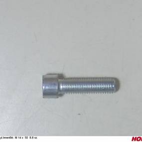 Zyl.innen6Kt. M 14 X 50 8.8 Vz. Horsch 00370193