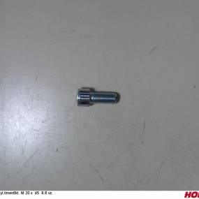 Zyl.innen6Kt. M 20 X 45 8.8 Vz. Horsch 00370404