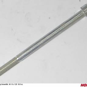 Zyl.innen6Kt. M 8 X 120 8.8 Vz. Horsch 00370445