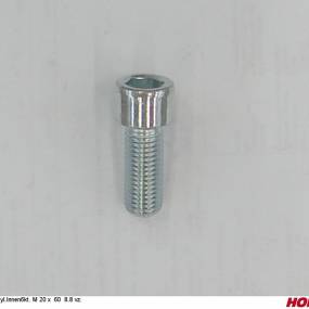 Zyl.innen6Kt. M 20 X 60 8.8 Vz. Horsch