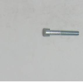 Zyl.innen6Kt. M 8 X 45 8.8 Vz. Horsch 00370513