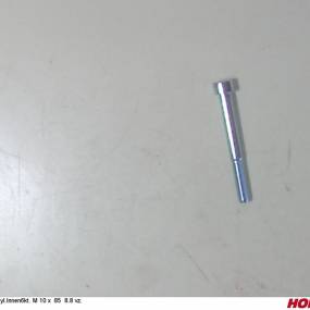 Zyl.innen6Kt. M 10 X 85 8.8 Vz. Horsch 00370580