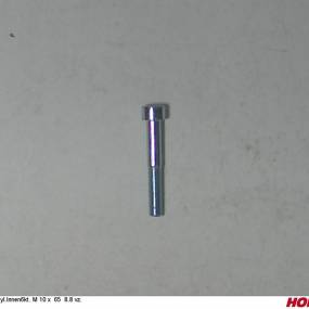 Zyl.innen6Kt. M 10 X 65 8.8 Vz. Horsch 00370589