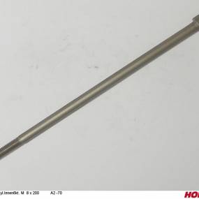 Zyl.innen6Kt. M 8 X 200 A2 -70 Horsch 00370627