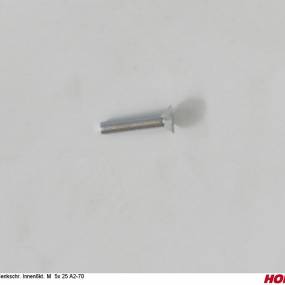 Sesmi 5 X 25 Din En Iso 10642 A2-70 Horsch 00370671