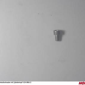 Inbusschraube mit Zylinderkopf V2A M8X12 Horsch 00370755