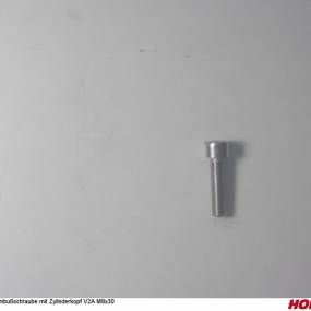 Inbusschraube mit Zylinderkopf V2A M8X30 (00370759) Horsch