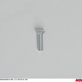 Flachrundschr.m.4Kt. 12 X 40 8.8 Vz. Son Horsch 00371173