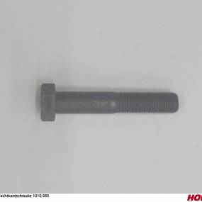 Sechskantschraube 1010.665 Horsch 04004446