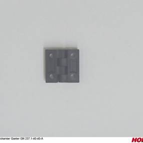 Scharnier Ganter Gn 237.1-40-40-A Horsch 04005581