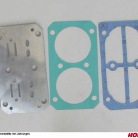 Ventilplatte mit Dichtungen Horsch 04005774