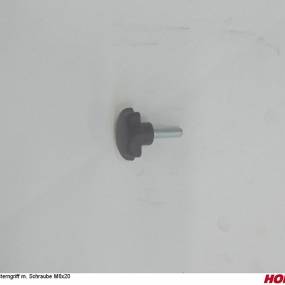 Sterngriff M. Schraube M6X20 Pa Horsch 29210204