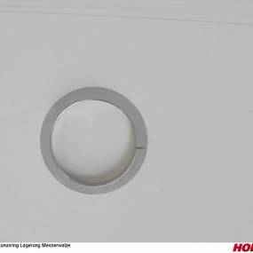 Konusring Lagerung Messerwalze Horsch 95163095