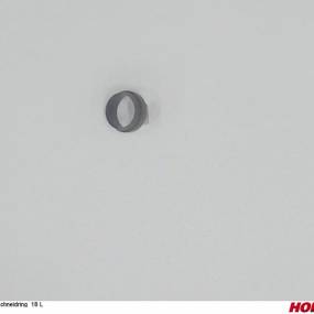 Schneidring 18 L Horsch 00110629