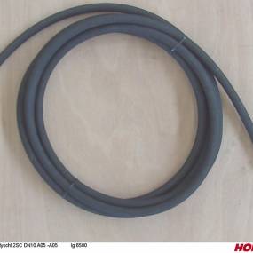 Hsdn10 2Sc Dkol12 Dkol12 6500 Horsch 00120378