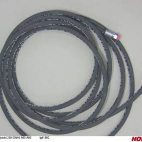 Hsdn16 2Sc Dkol18 Dkol18 11800 Horsch 00120856