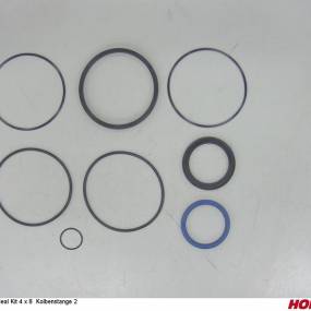 Seal Kit 4 X 8 Kolbenstange 2 Horsch 00130150