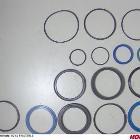 Dichtsatz 90-45 Finsterle Horsch 00130271