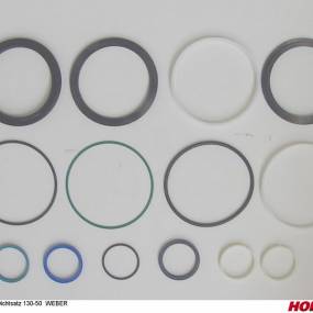 Dichtsatz 130-50 Weber Horsch 00130727