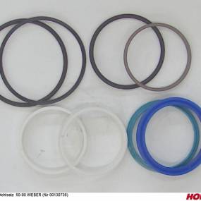 Dichtsatz 50-90 Weber (für 00130736) Horsch 00130883