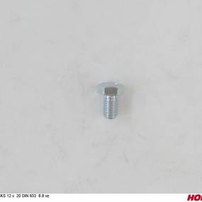 Sks 12 X 20 Din 933 8.8 Vz. Horsch 00360140
