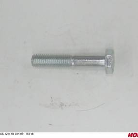 Sks 12 X 65 Din 931 8.8 Vz. Horsch 00360246