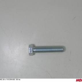 Sks 24 X 110 Din 933 8.8 Vz. Horsch 00360270
