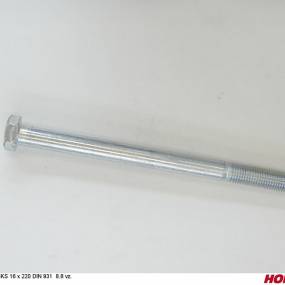 Sks 16 X 220 Din 931 8.8 Vz. Horsch 00360323
