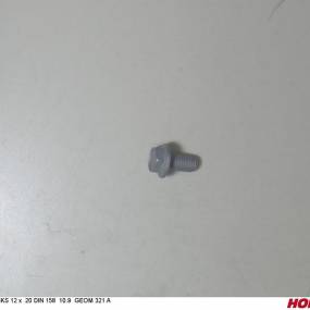 Sks 12 X 20 Bö.n.158 10.9 Zinklamelle Horsch 00360414