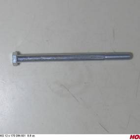 Sks 12 X 170 Din 931 8.8 Vz. Horsch 00360482