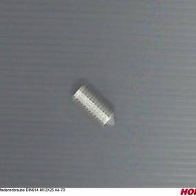 Madenschraube Din914 M12X25 A4-70 Horsch 00360821
