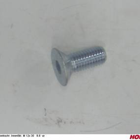 Sesmi 12 X 30 Din En Iso 10642 8.8 Vz. Horsch 00370004