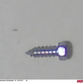 Blechschr.sechskant B 5.5X16.0 Vz Horsch 00370017