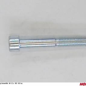 Zyl.innen6Kt. M 12 X 80 8.8 Vz. Horsch 00370172