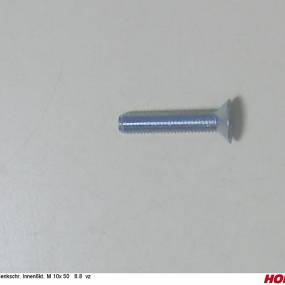 Senkschr. Innen6Kt. M 10X 50 8.8 Vz Horsch 00370459