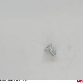 Sesmi 10 X 20 Din En Iso 10642 8.8 Vz. Horsch 00370502