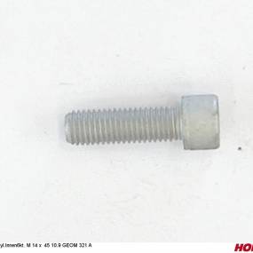 Zyl.innen6Kt. M 14 X 45 10.9 Geom 321 A (00370542) Horsch