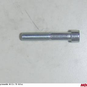 Zyl.innen6Kt. M 12 X 70 8.8 Vz. Horsch 00370581