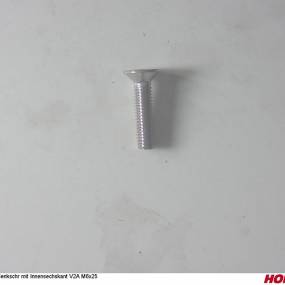 Sesmi 6 X 25 Din En Iso 10642 A2-70 (00370783) Horsch